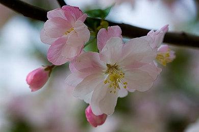 《生化危机4：VR》佣兵模式更新已上线 开心爽玩